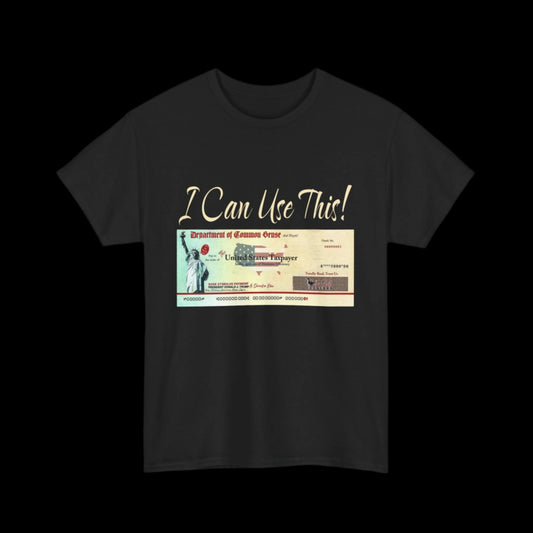 I Can Use This! Stimulus Check T-Shirt