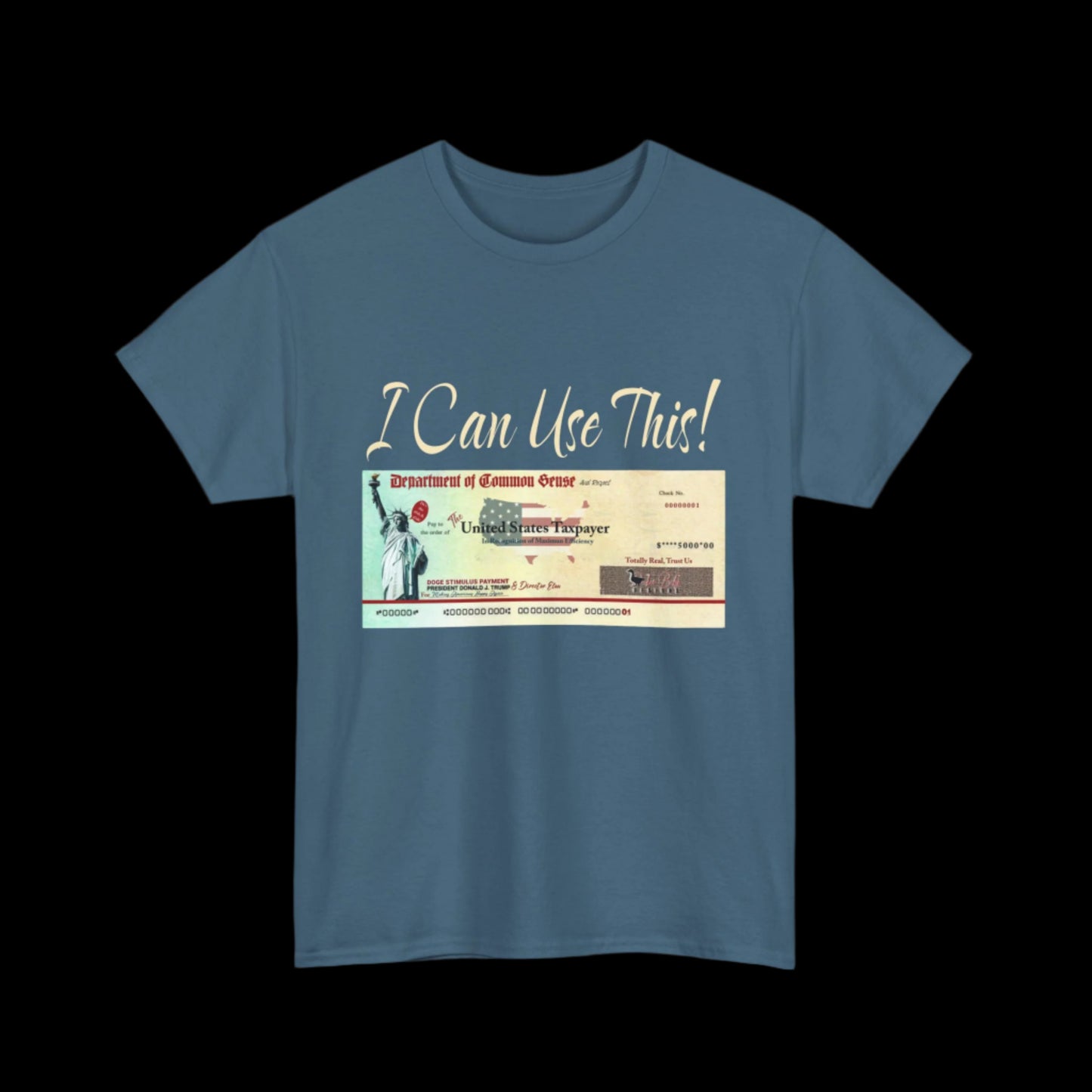 I Can Use This! Stimulus Check T-Shirt