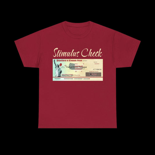 Parody DOGE Stimulus Checks