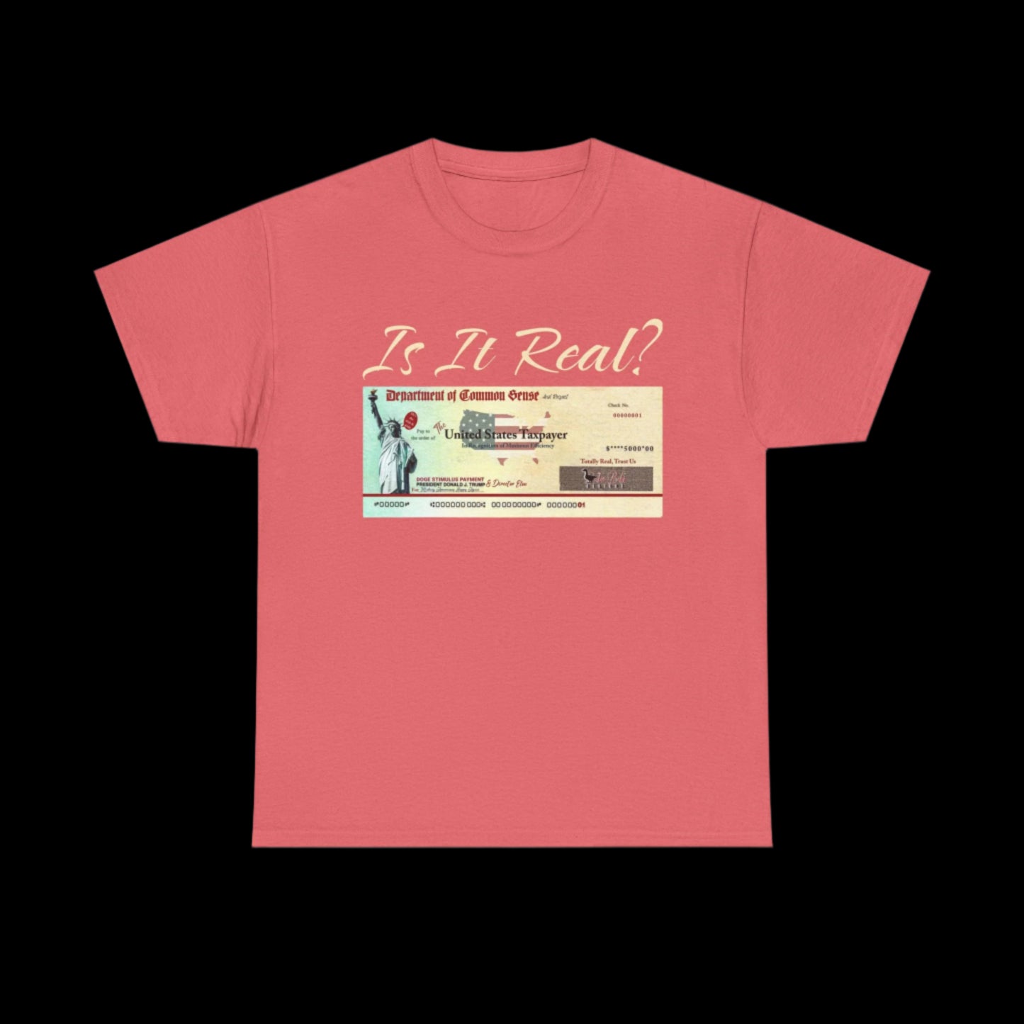 Is This Real? Stimulus Check custom T-Shirt