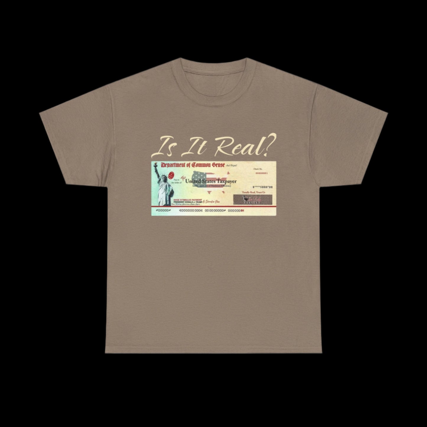 Is This Real? Stimulus Check custom T-Shirt